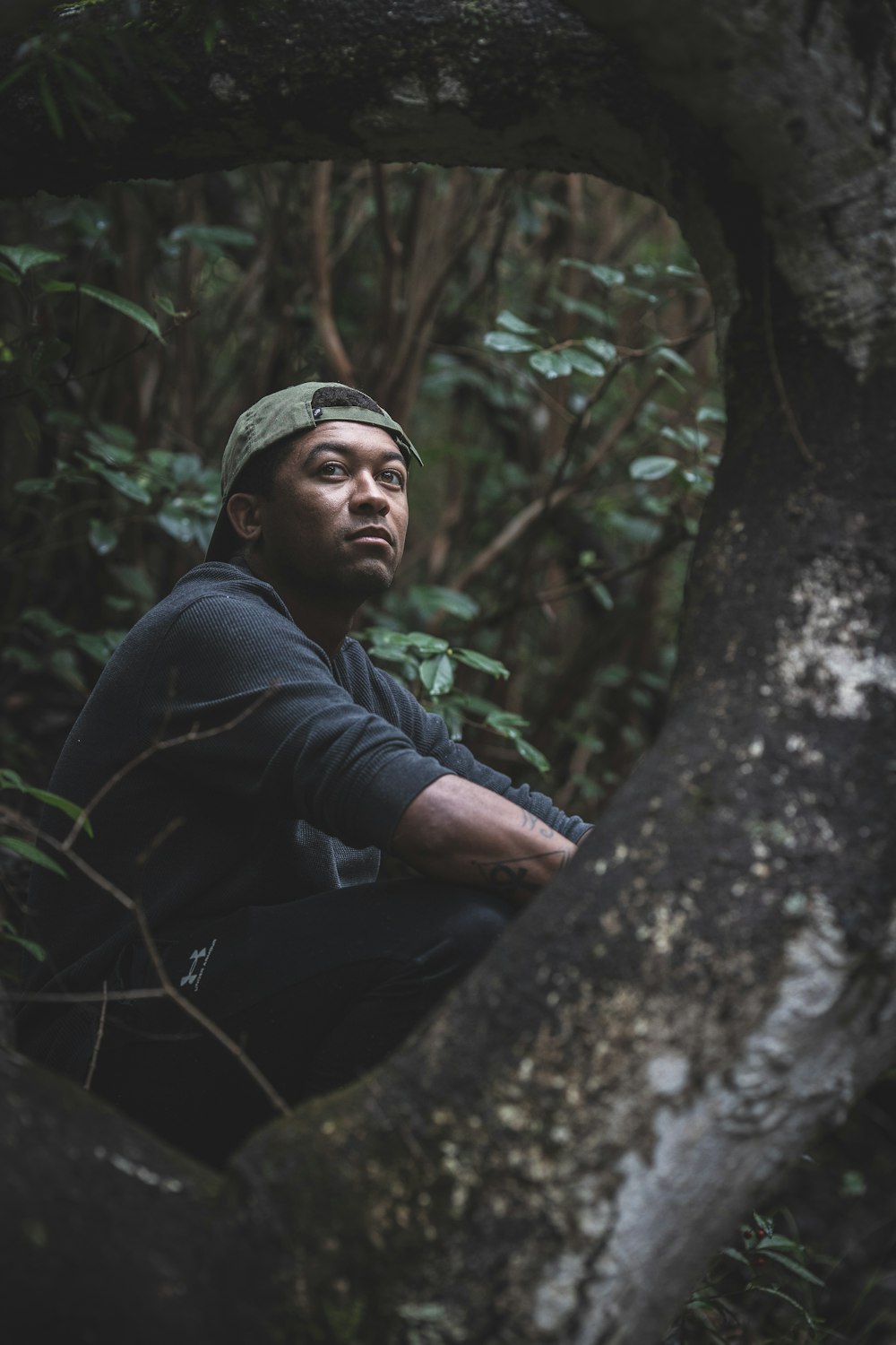 man sitting in forest