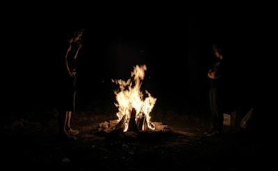 A tense standoff between two survivors near a makeshift campfire.