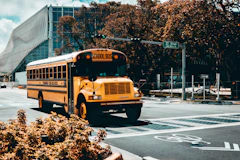yellow school bus on road