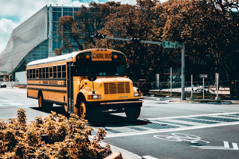 yellow school bus on road