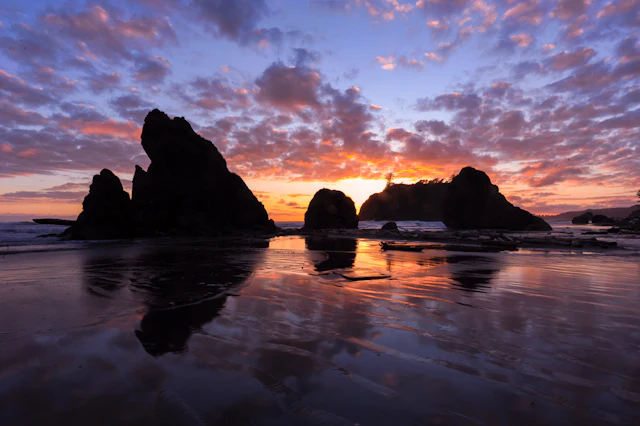 Olympic Peninsula sea stacks rising from the Pacific
