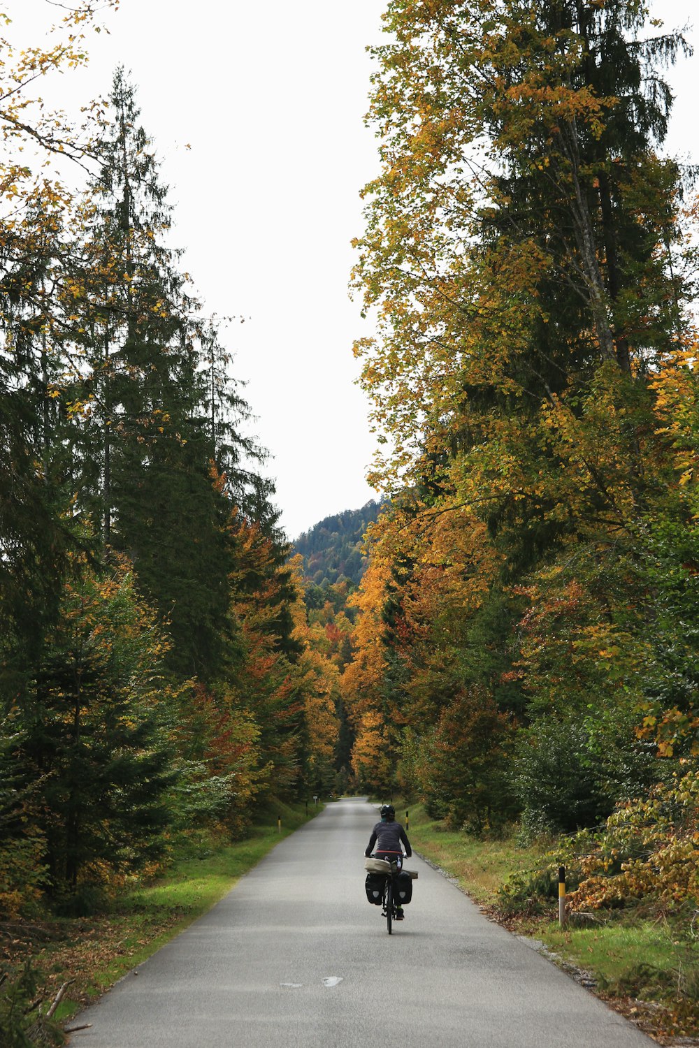 man riding bicycle photography