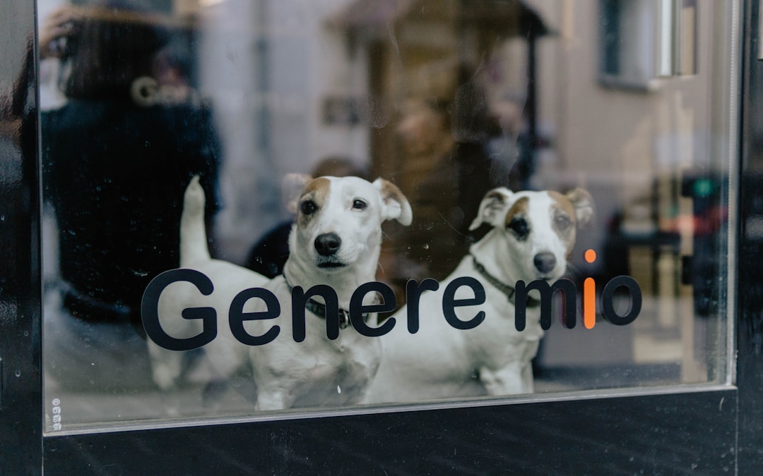 mobile responsive website design pet store