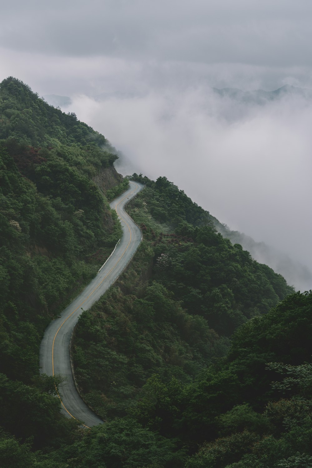 concrete road between green trees under cloudy sky