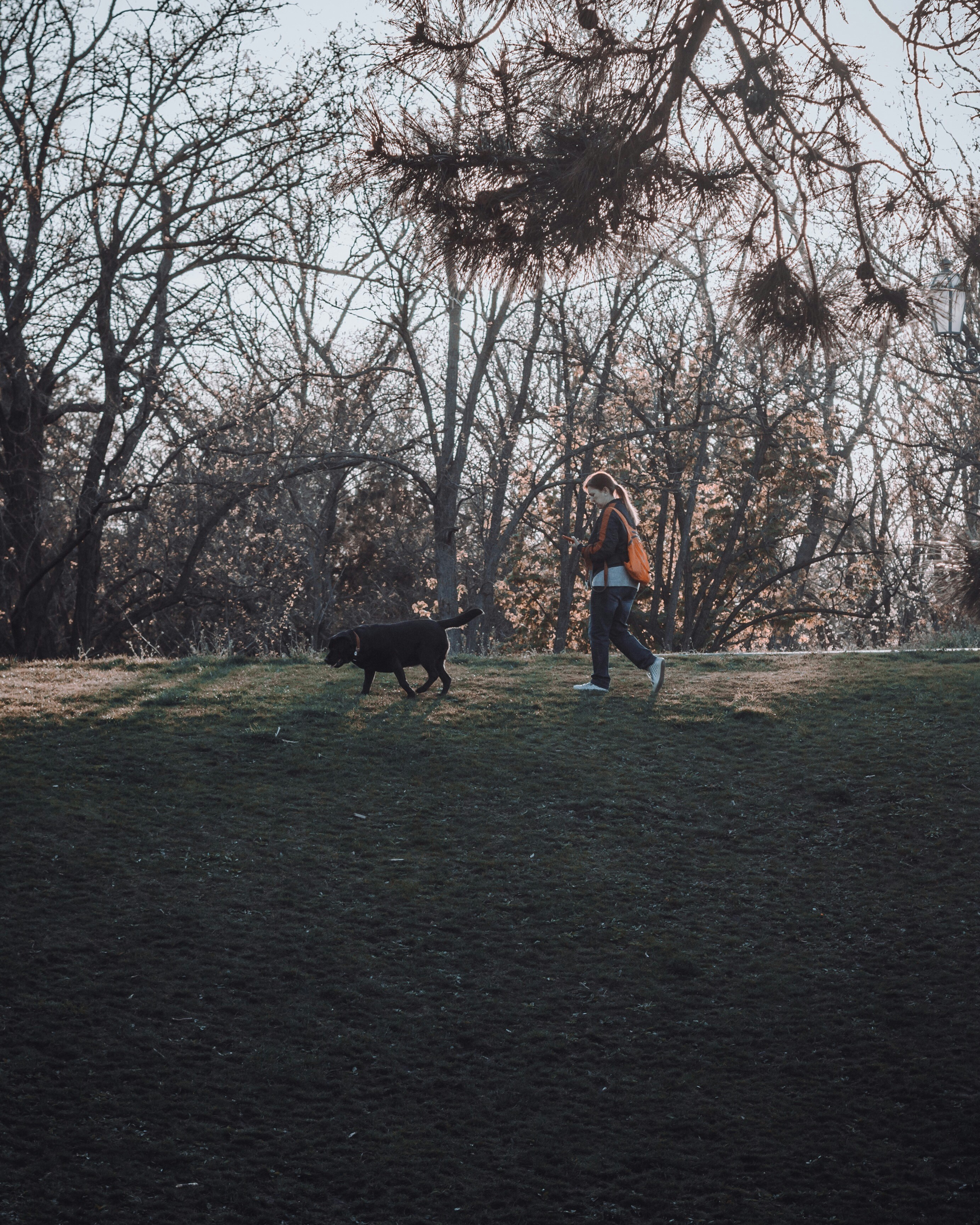 Photo by thewayofcolor