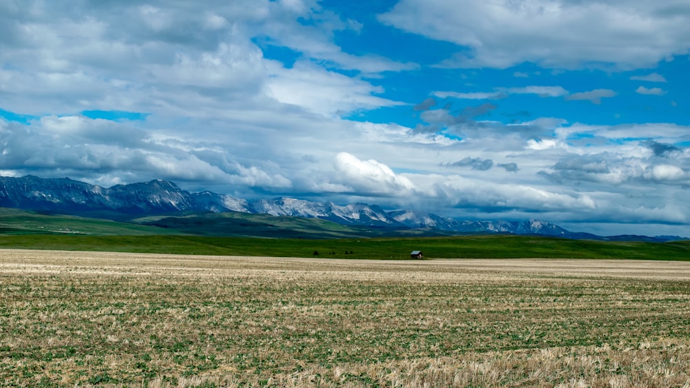 grass field under white clouds at daytime