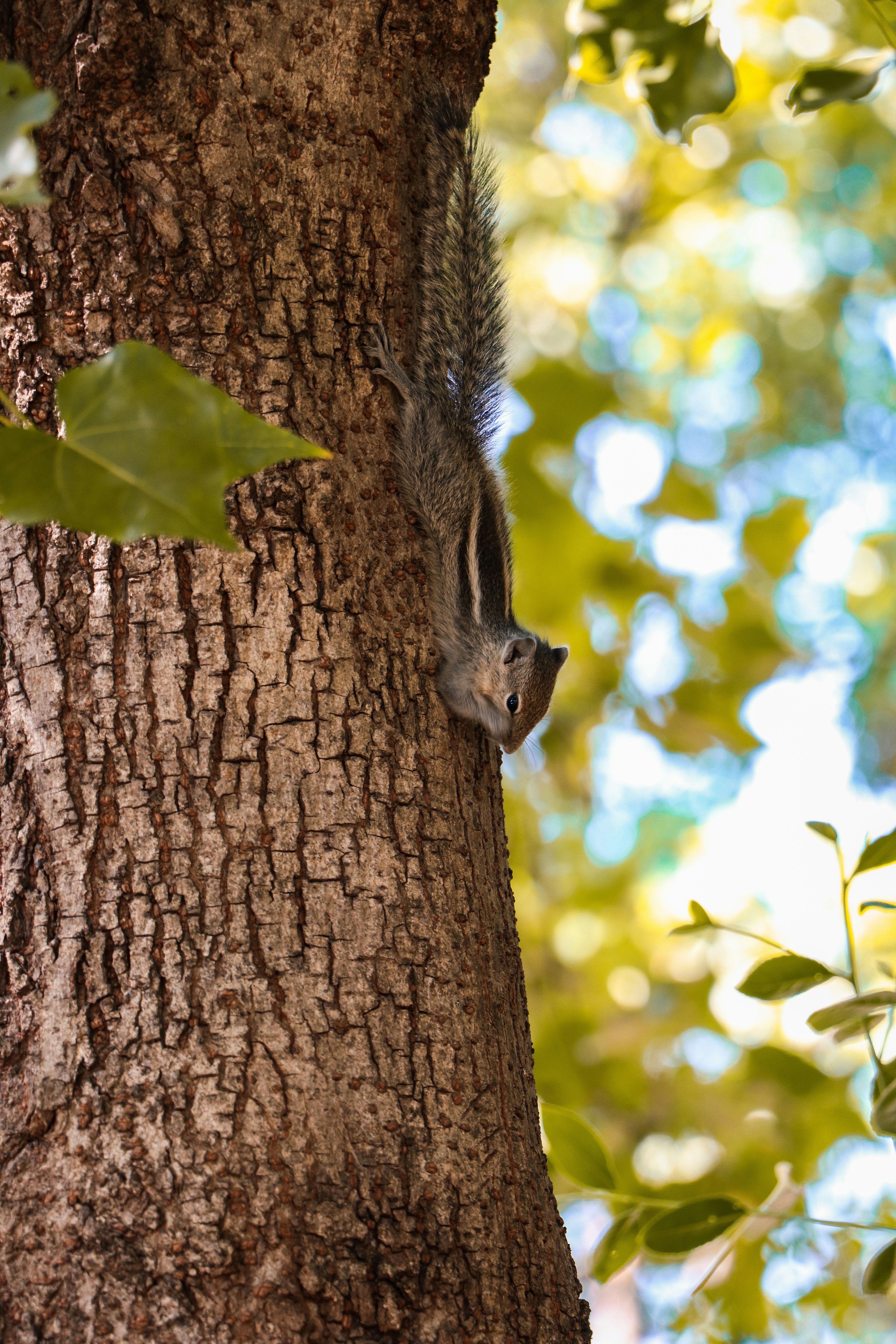 Photo by eshwar_charan