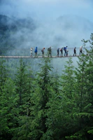 Adventurers crossing a rope bridge over a lush green forest in Western Ghats.