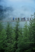 A group of travelers crossing a narrow rope bridge above a rushing river in a dense jungle.
