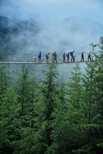 A group of trekkers crossing a wooden bridge surrounded by lush green mountains.