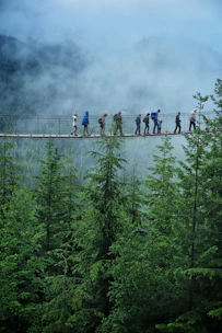 A group of friends laughing while crossing a rope bridge suspended over a forest lake.