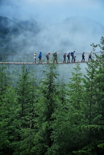 A group of people walks across a suspension bridge high above a lush green forest. Misty, cloud-covered mountains form the backdrop, creating a serene and adventurous atmosphere.
