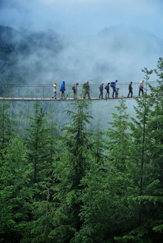 Adventurers crossing a wooden bridge over a lush river in Eswatini’s wilderness.