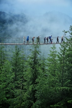A group of people walks across a suspension bridge high above a lush green forest. Misty, cloud-covered mountains form the backdrop, creating a serene and adventurous atmosphere.
