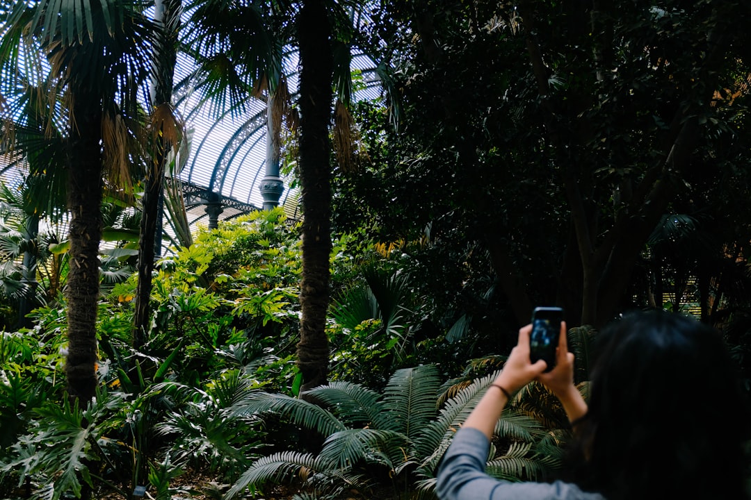 woman holding smartphone taking picture on trees