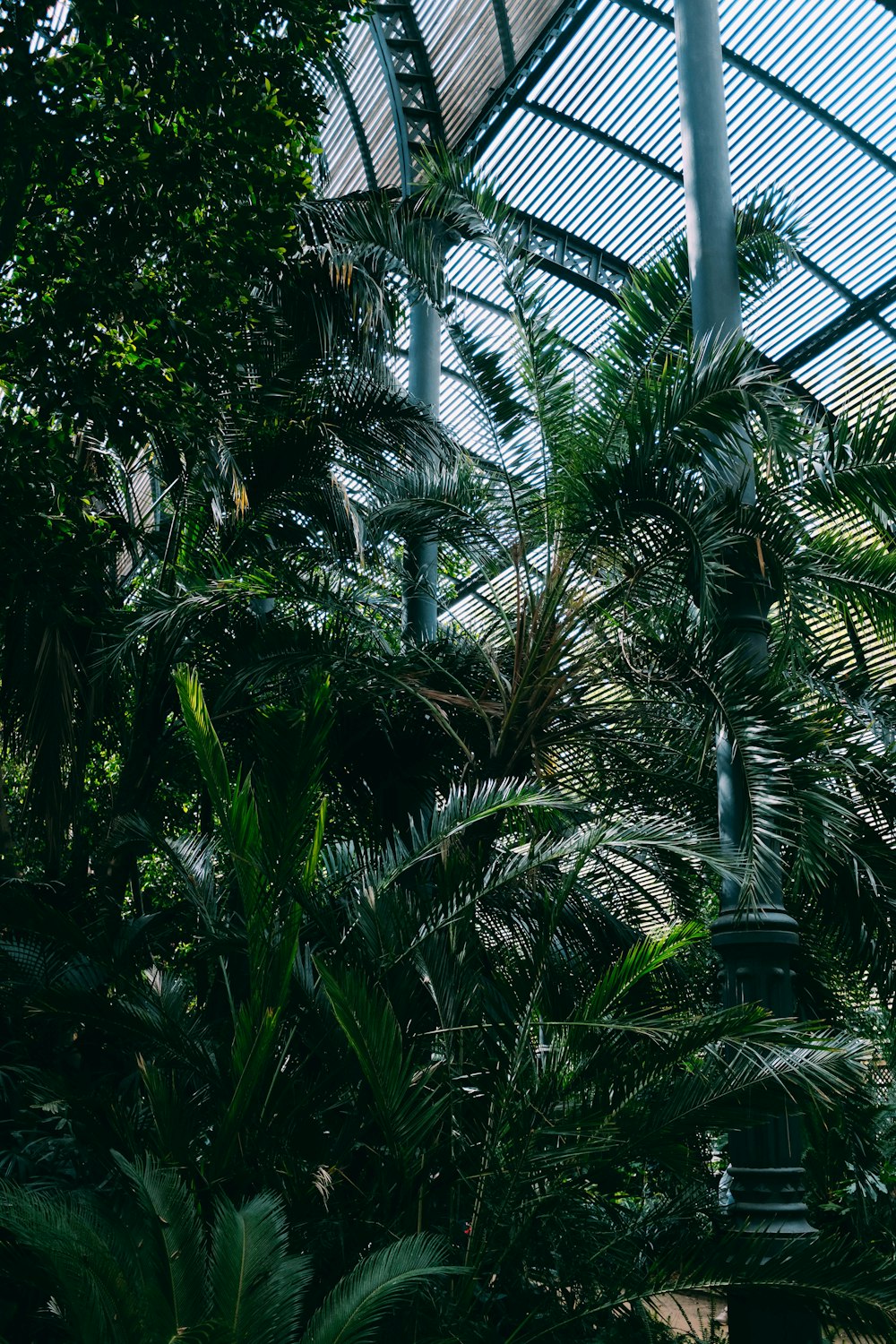 green trees inside shed