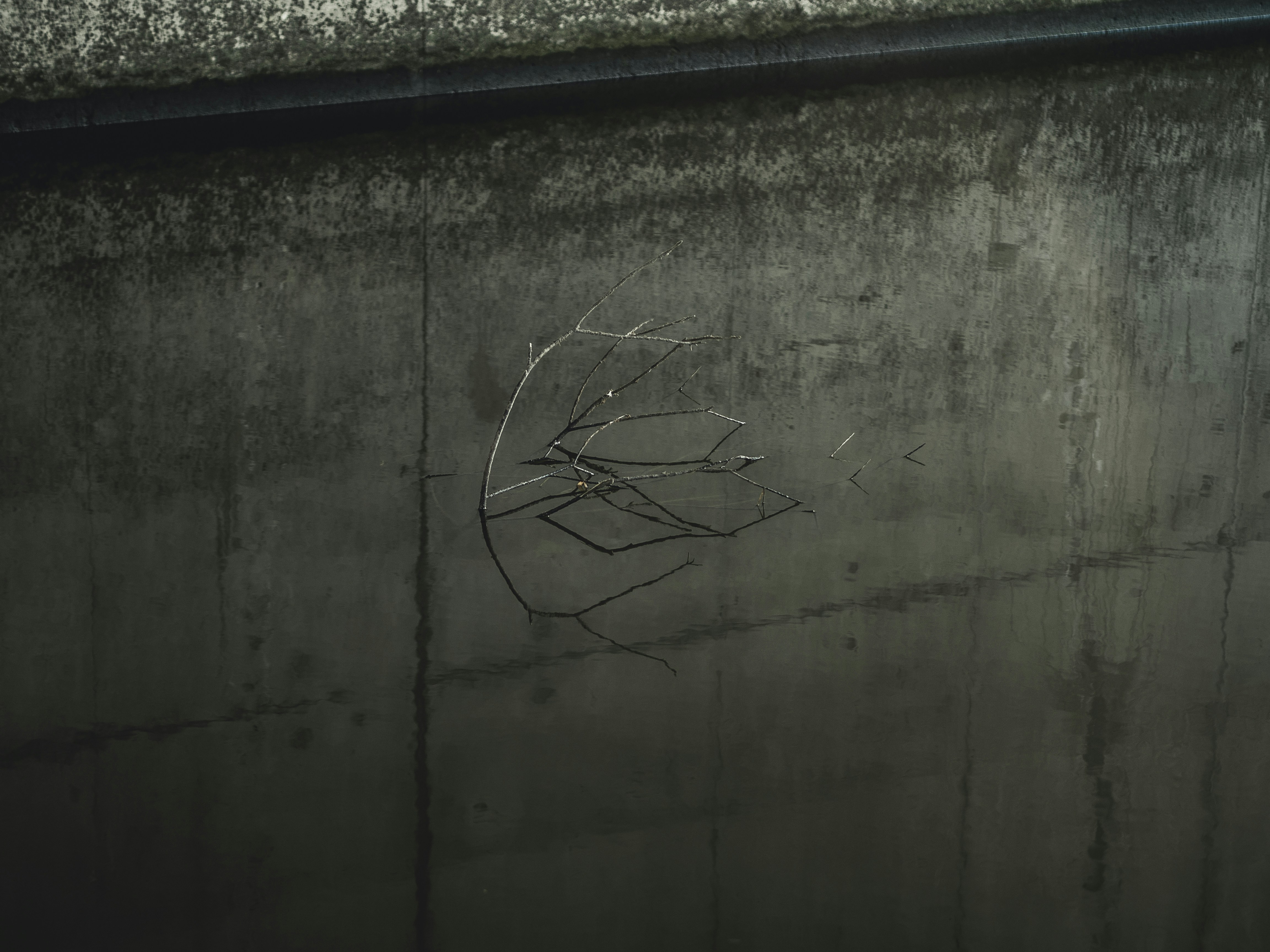 Photo by milandegraeve