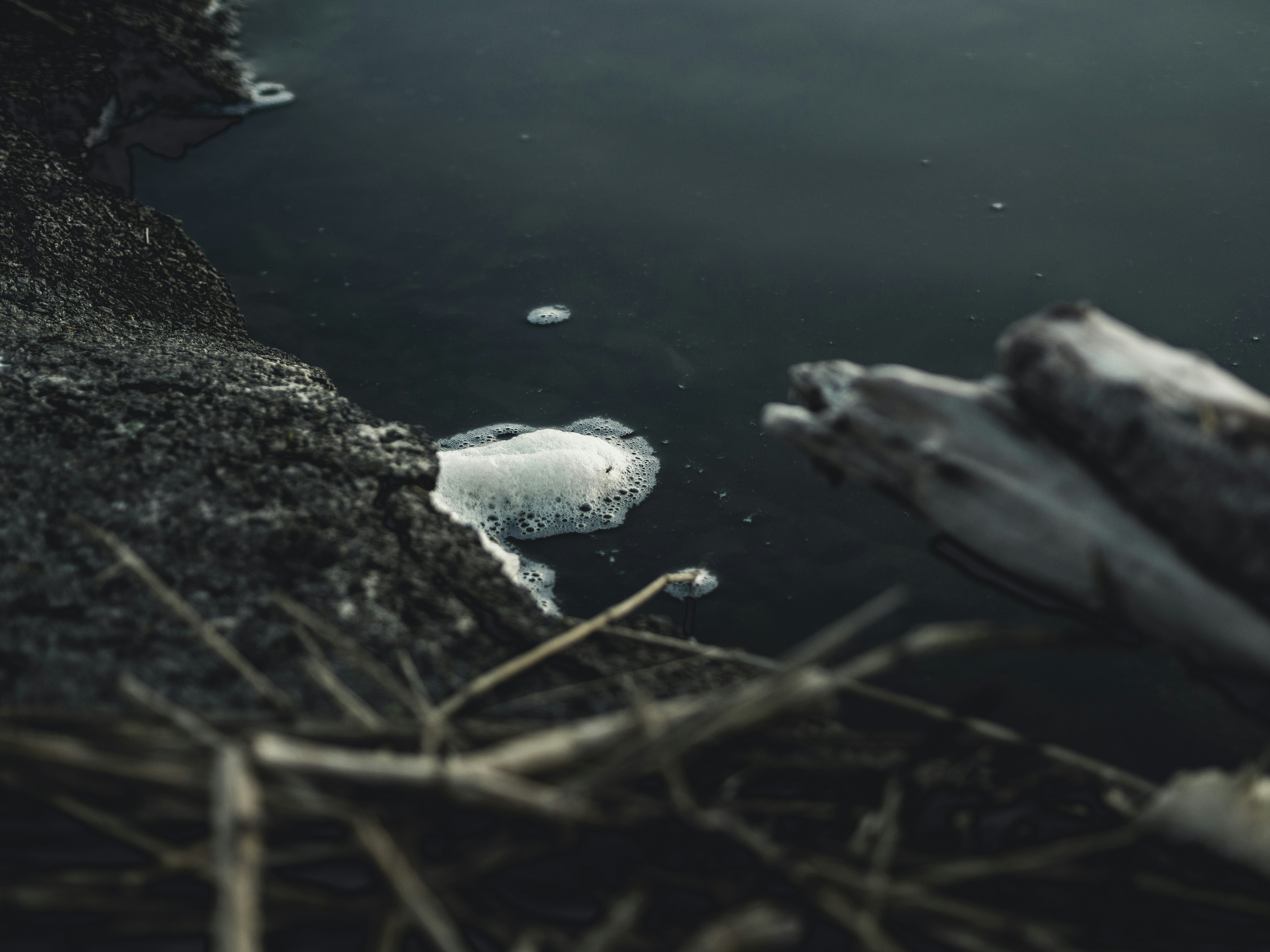 Photo by milandegraeve