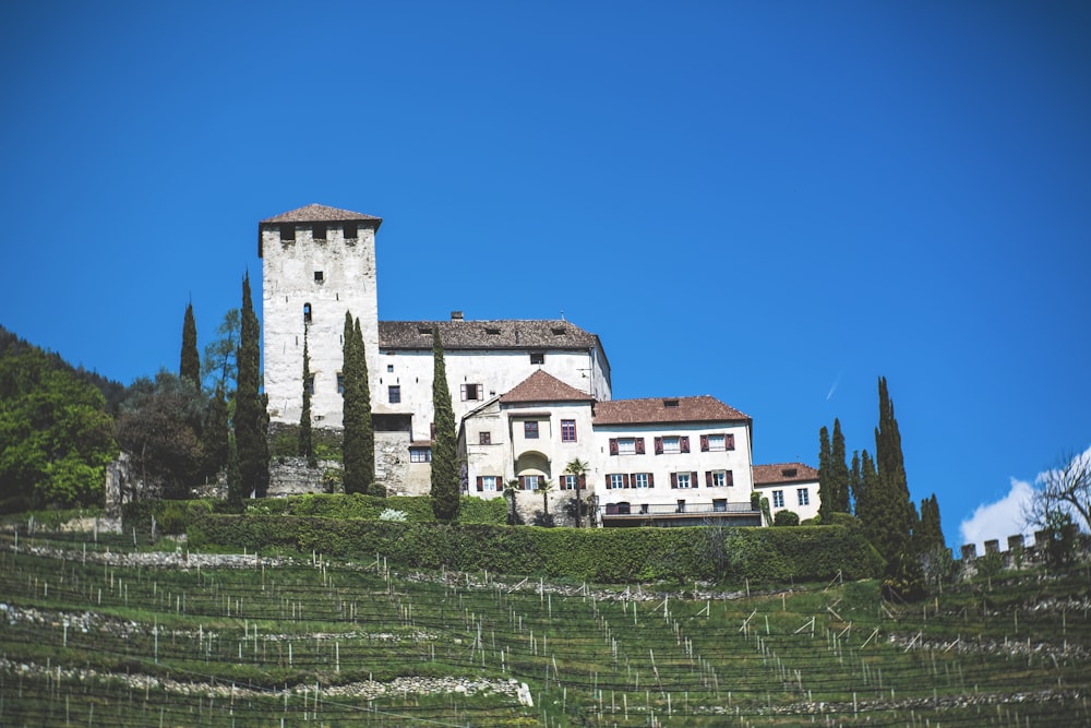 white and brown house in vineyard