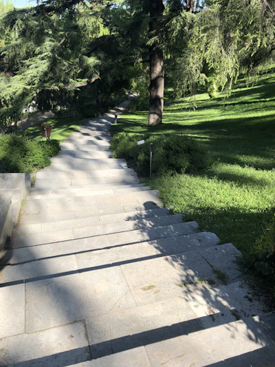 A sunlit path winding through the lush, historic park of Domaine d’Arry with ancient trees and the monumental staircase in the background.