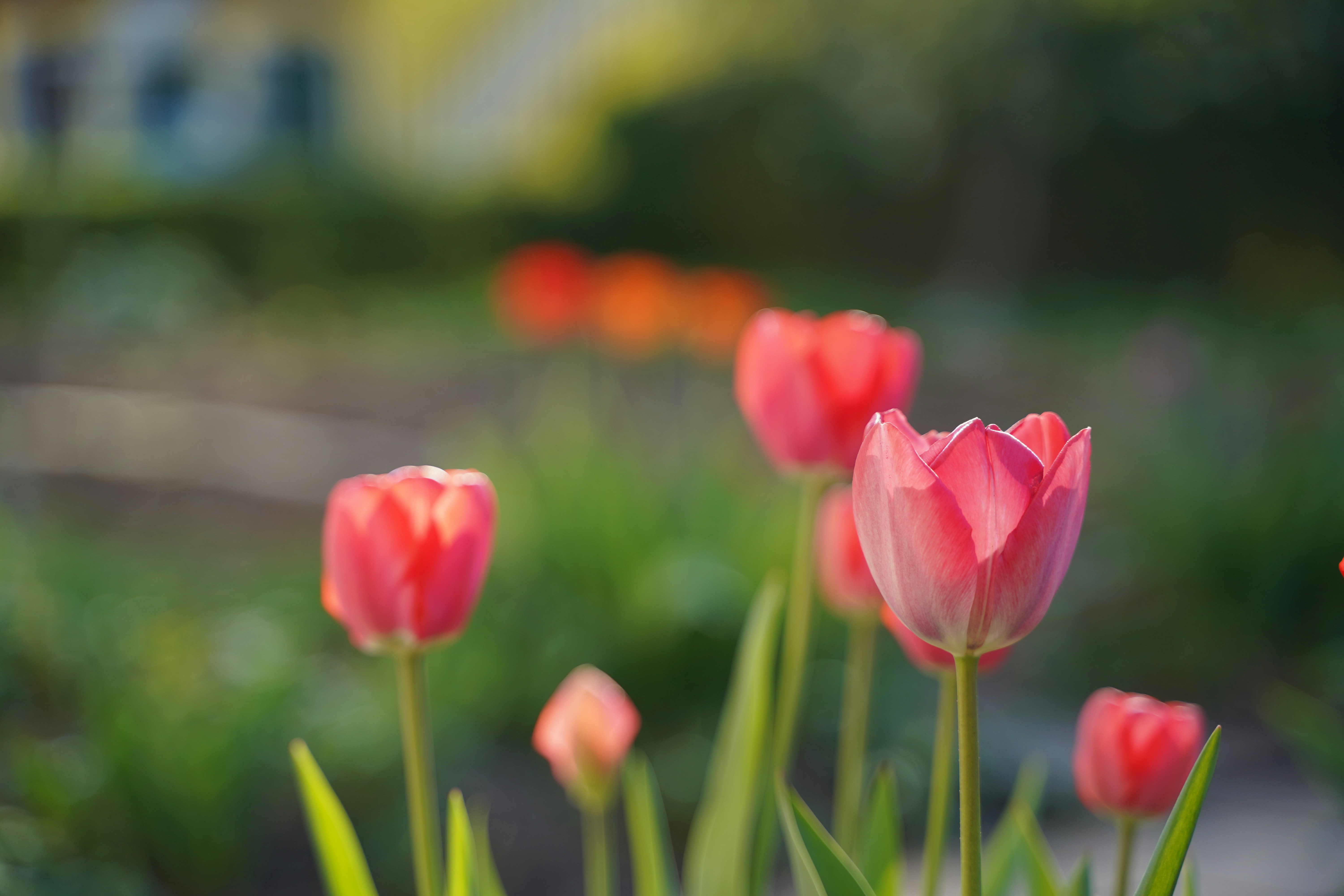 Photo by jhvisuals_de