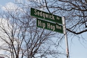 Street signs reading Sedgwick Ave and Hip Hop Blvd are mounted on a metal pole against a backdrop of leafless tree branches and a clear blue sky.