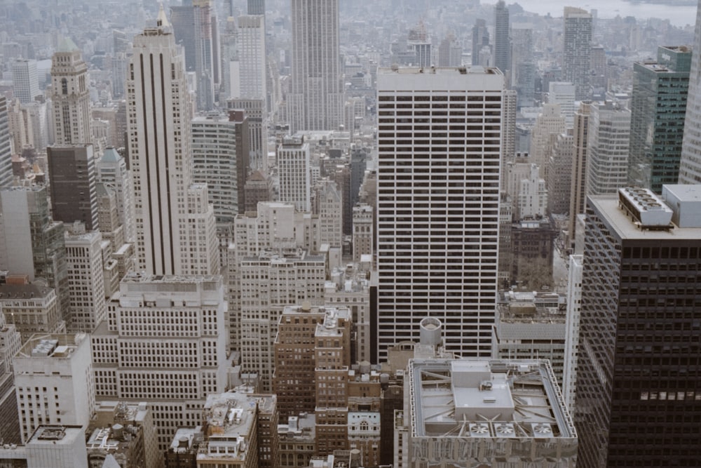 grey high-rise buildings