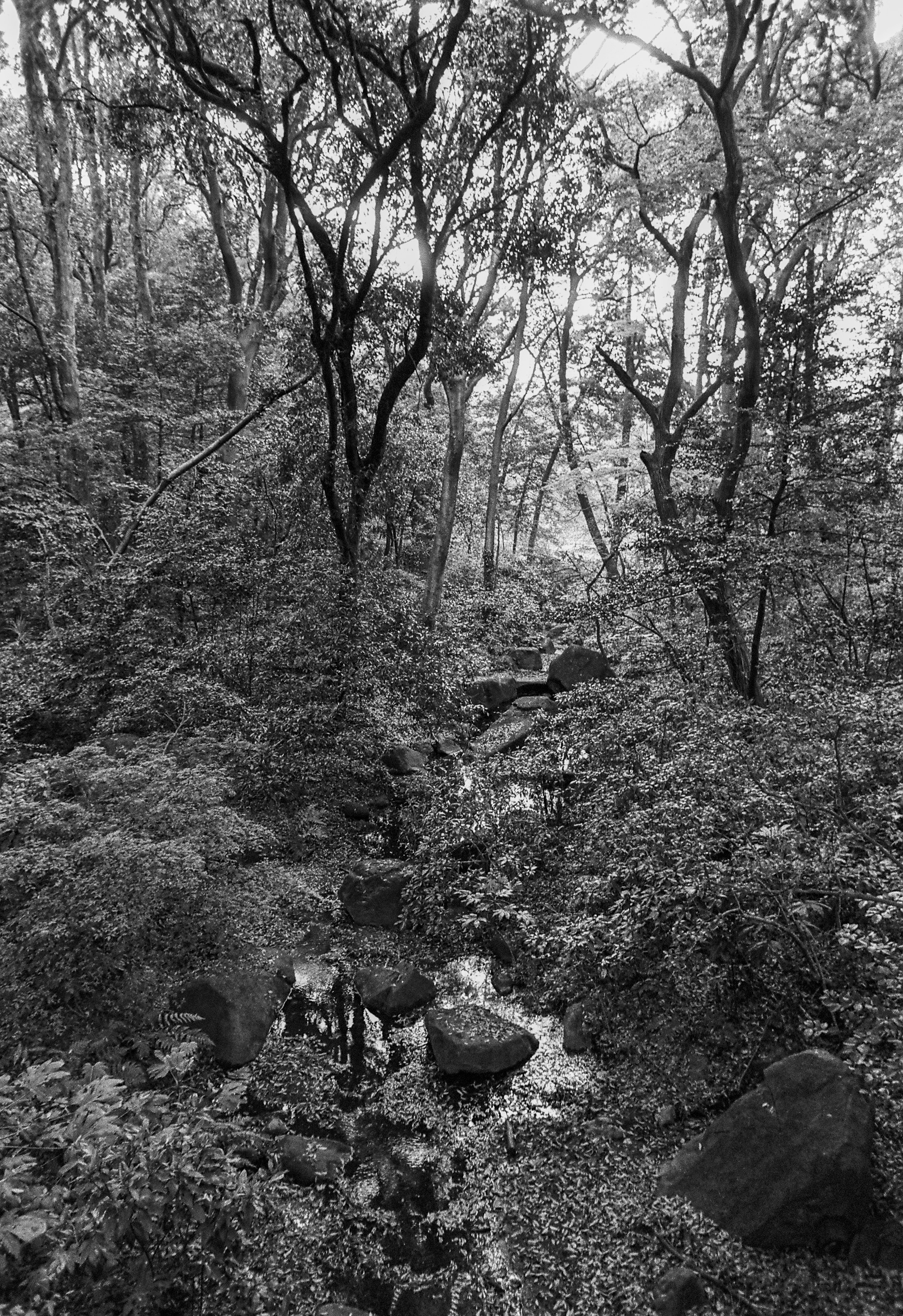 Photo by xuduo_shanghai