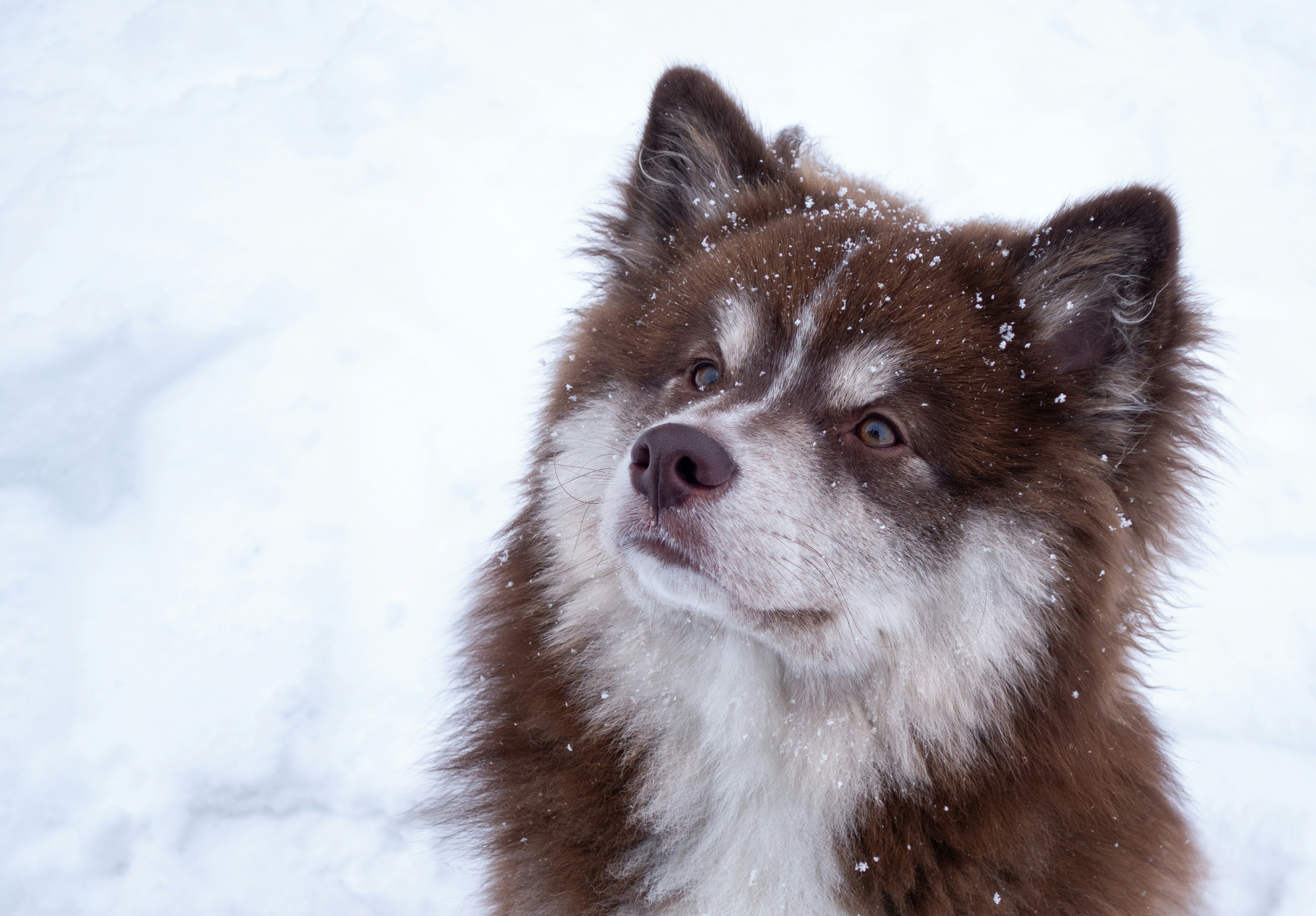 Photo by thejohnnyme