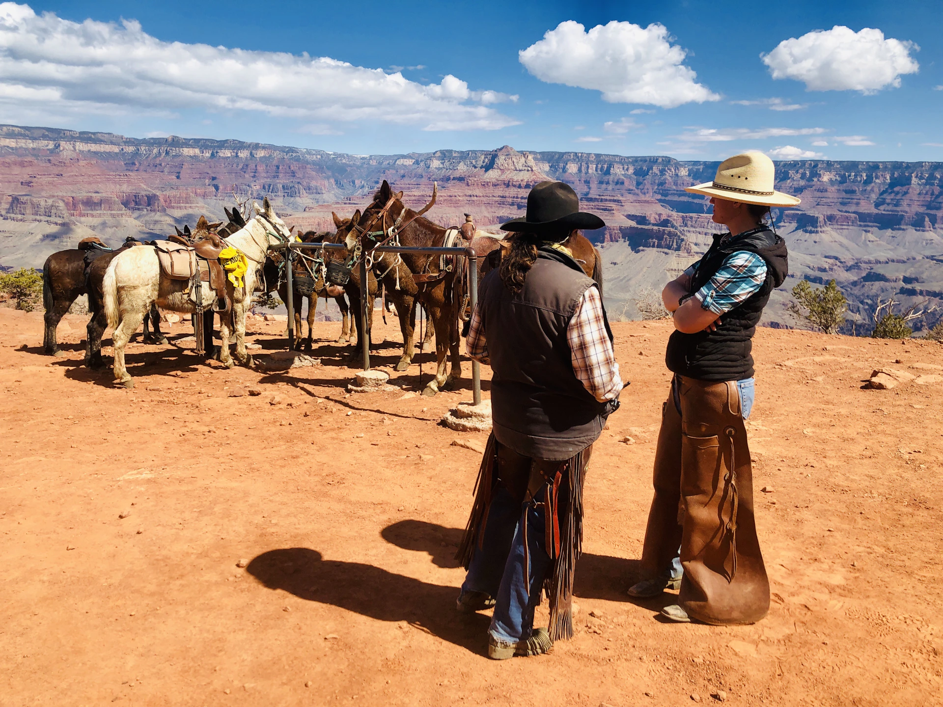 two man standing near horses