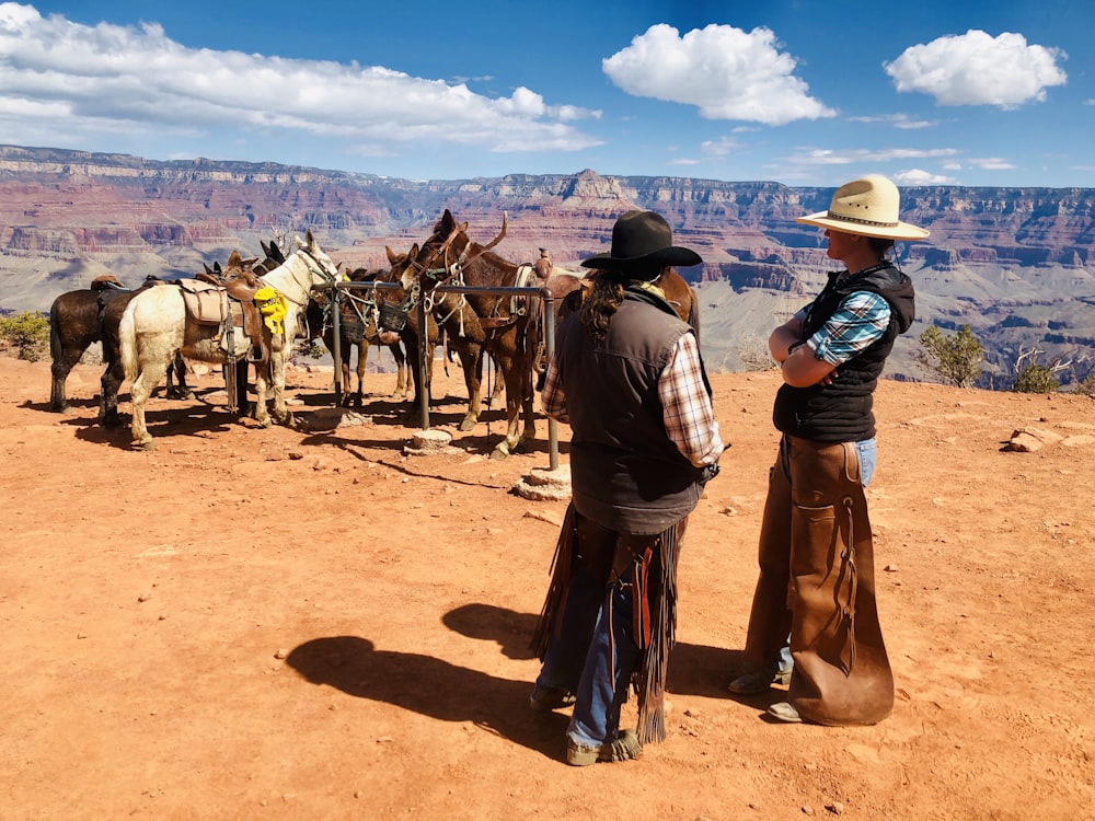 two man standing near horses