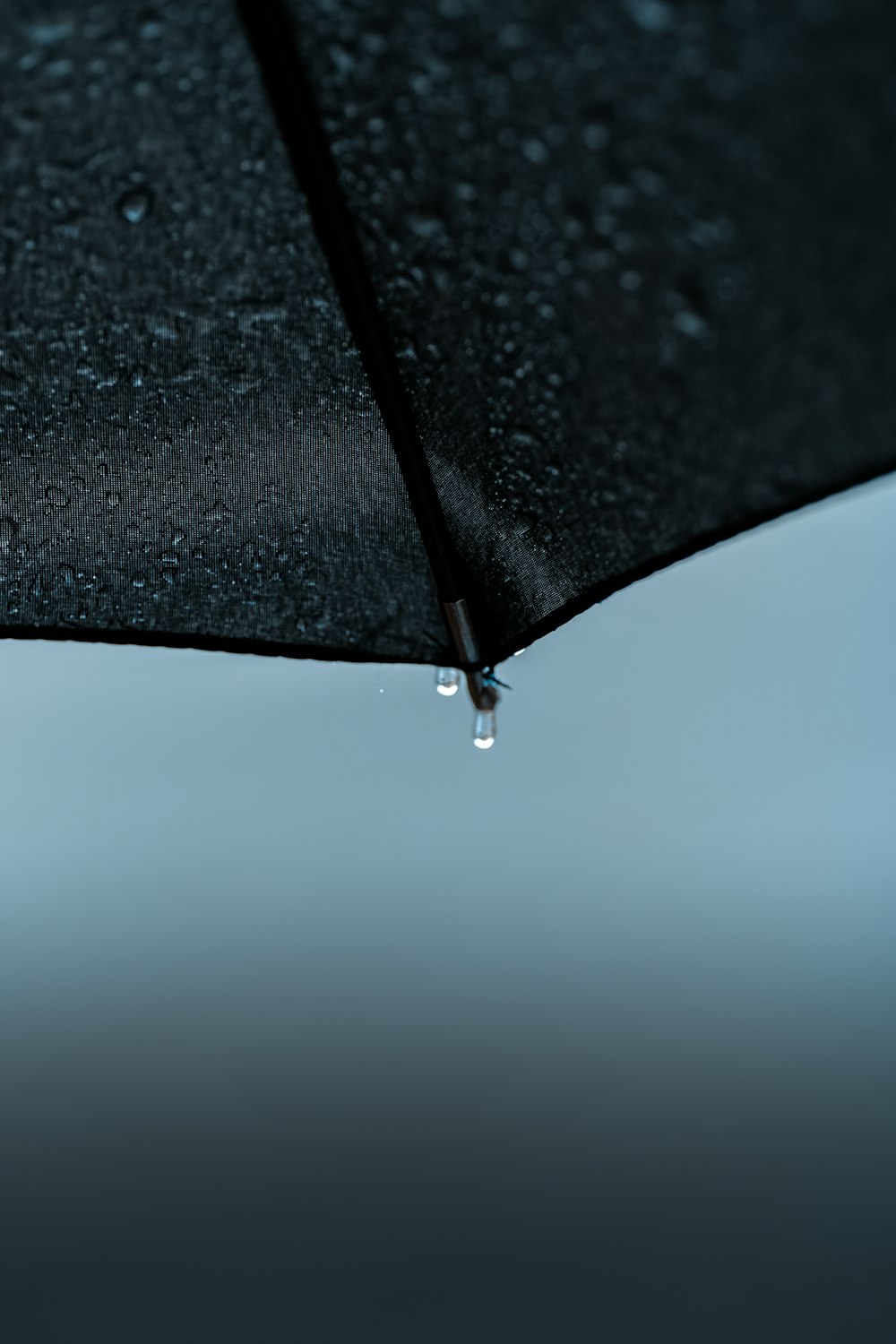 검은 우산의 선택적 초점 사진