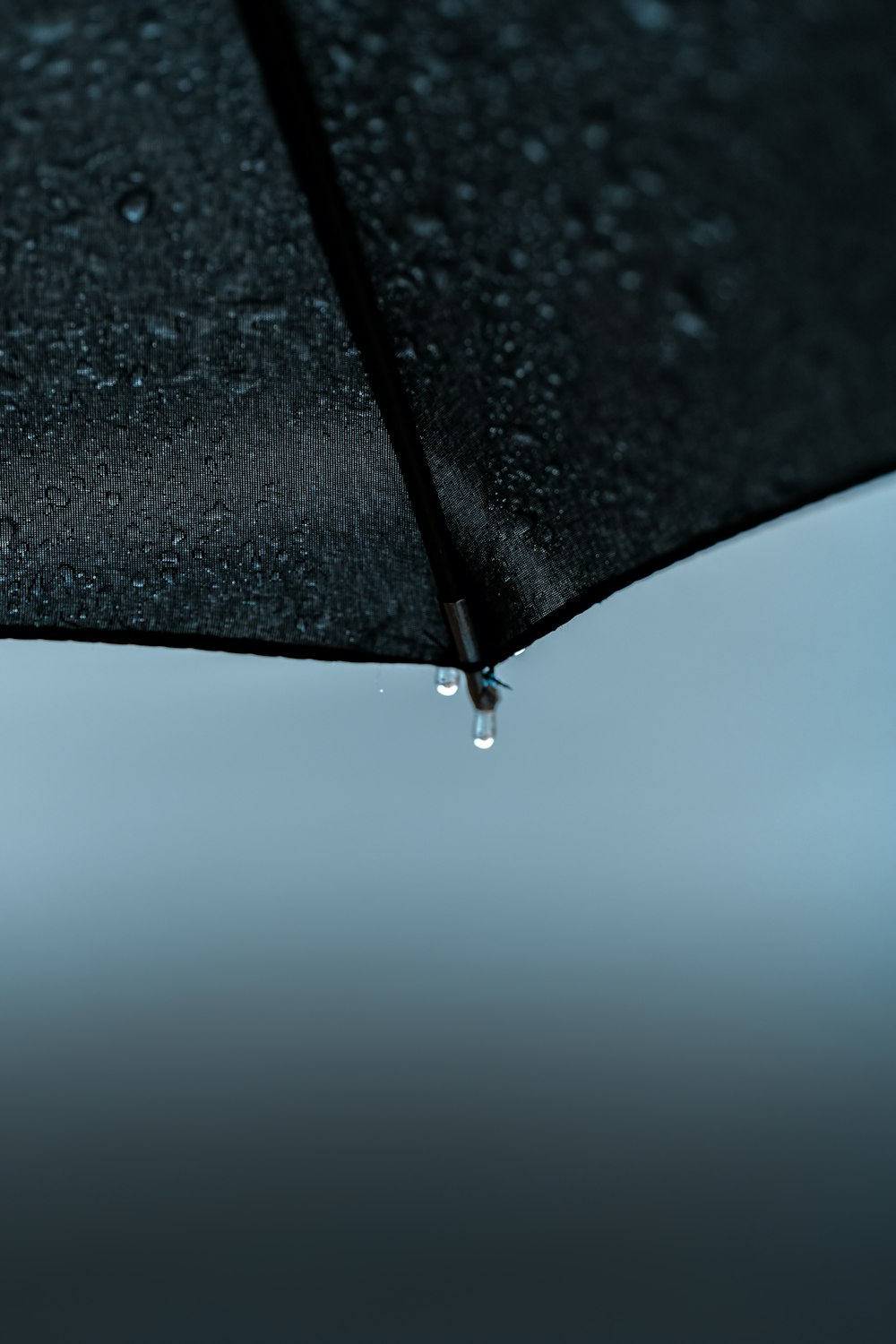 selective focus photography of black umbrella