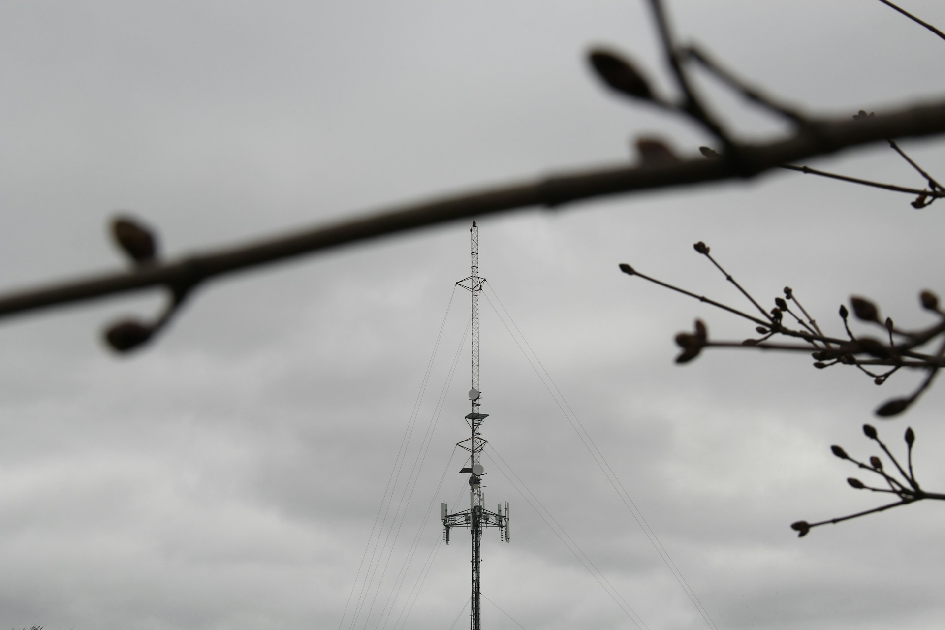 gray computer monitor