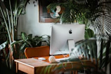 Stylish workspace showcasing sleek furniture and lush indoor plants.