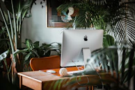 An elegant workspace with biophilic elements: stone planters, wooden shelves, and leafy greenery.