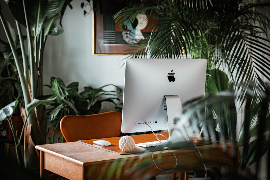 A cozy workspace featuring a rustic oak desk, ergonomic leather chair, and a macramé plant hanger adding natural charm.