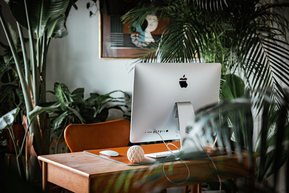 A home office with a refurbished Apple Mac surrounded by house plants.