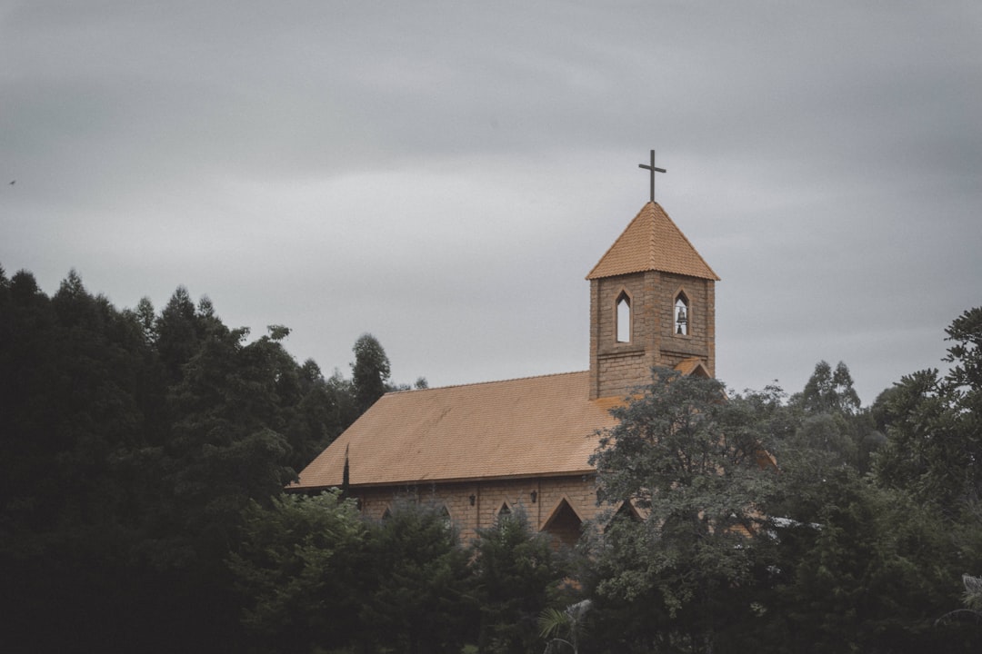 cathedral surrounded with trees at daytime,