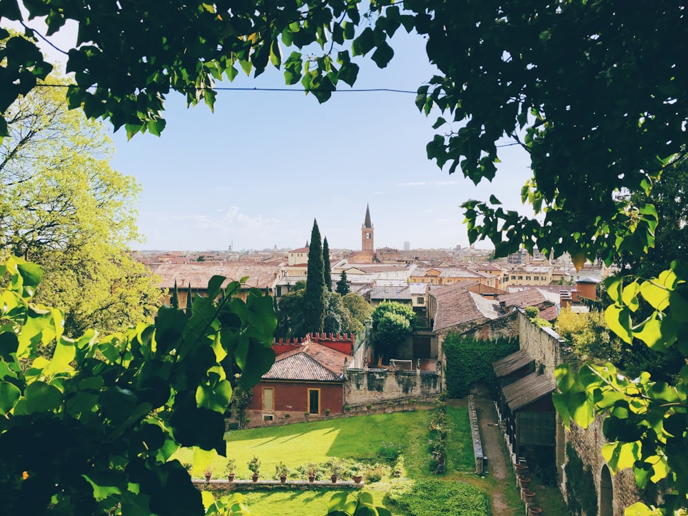 buildings during day