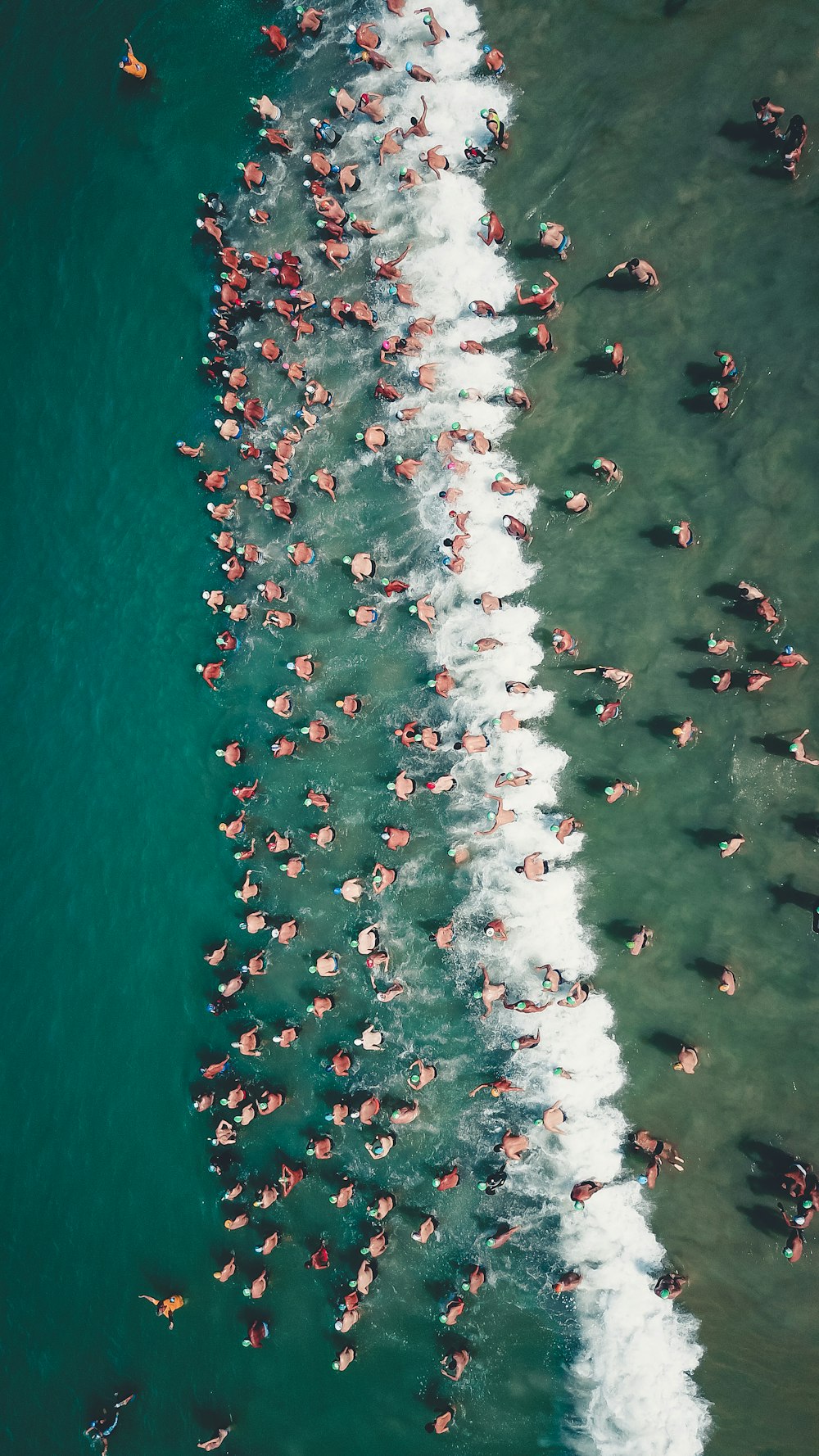 people at the beach