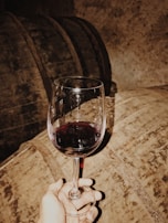 A hand holds a glass of red wine against the backdrop of large wooden barrels, presumably in a dimly lit wine cellar. The ambiance is rustic, with a warm, earthy tone.