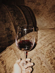 Sommelier pouring a glass of red wine in a softly lit wine cellar.