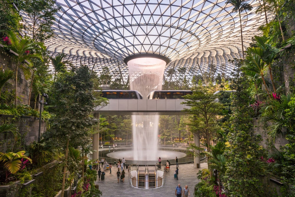 people walking inside amazon building surrounded with plants