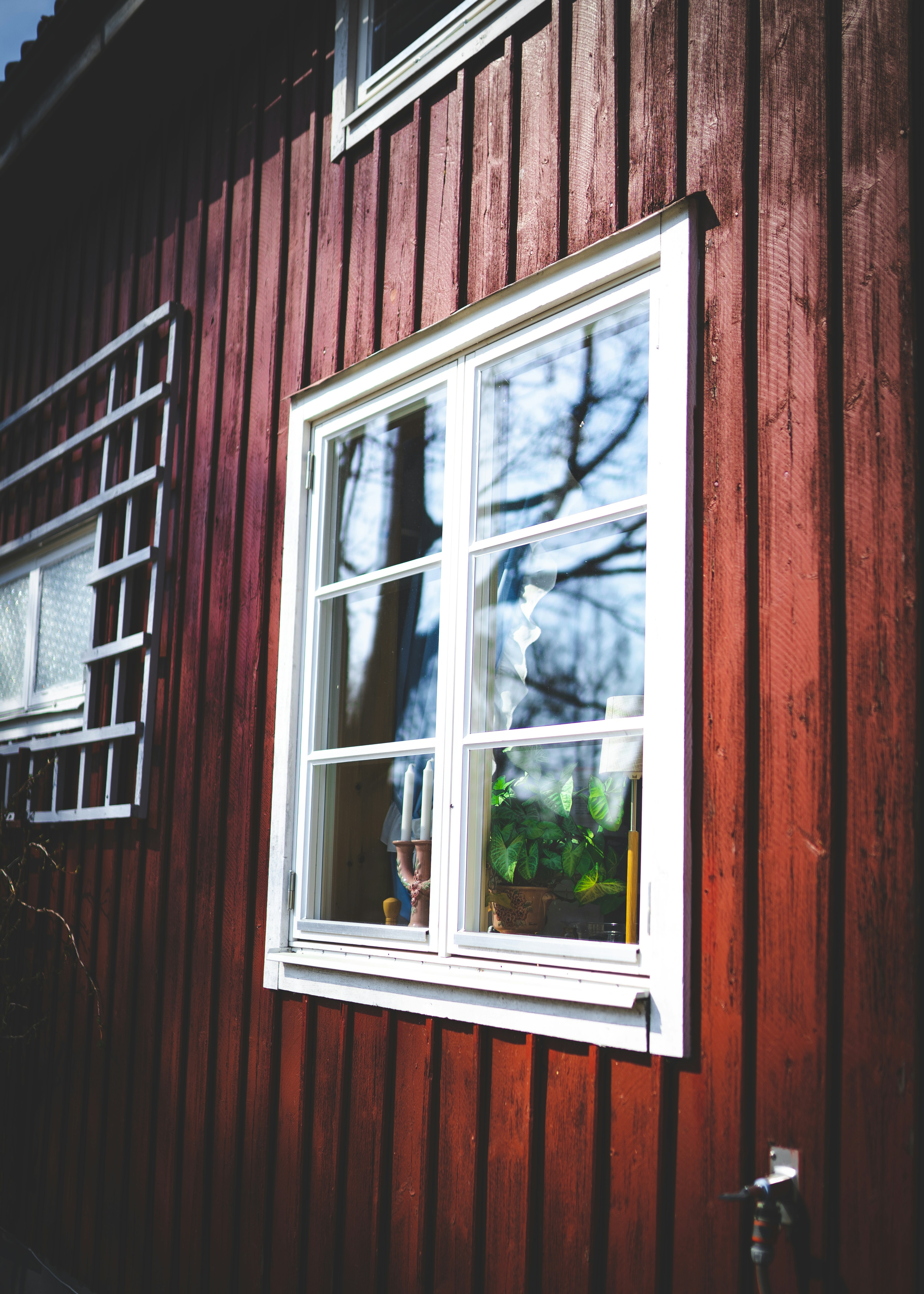 Photo by emilwidlund