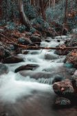 Soft, flowing water in a calm forest setting.