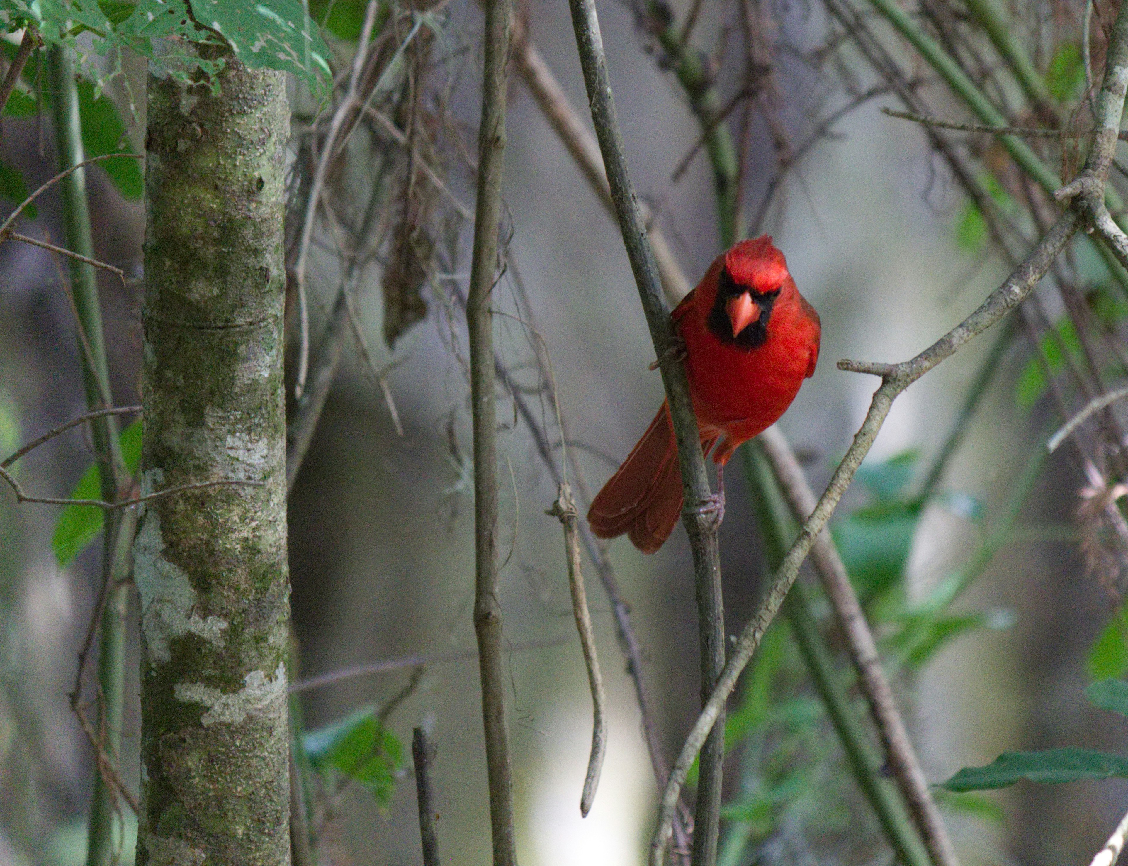 Book Your Expedition