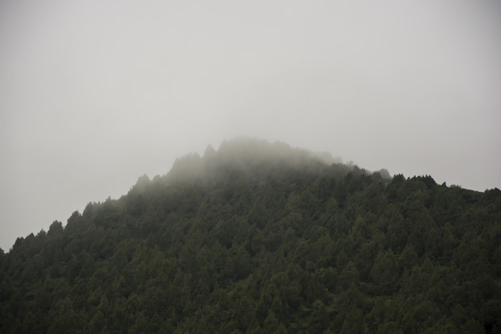green mountain covered with fogs