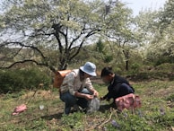 Researchers documenting local plants with elders sharing traditional knowledge.