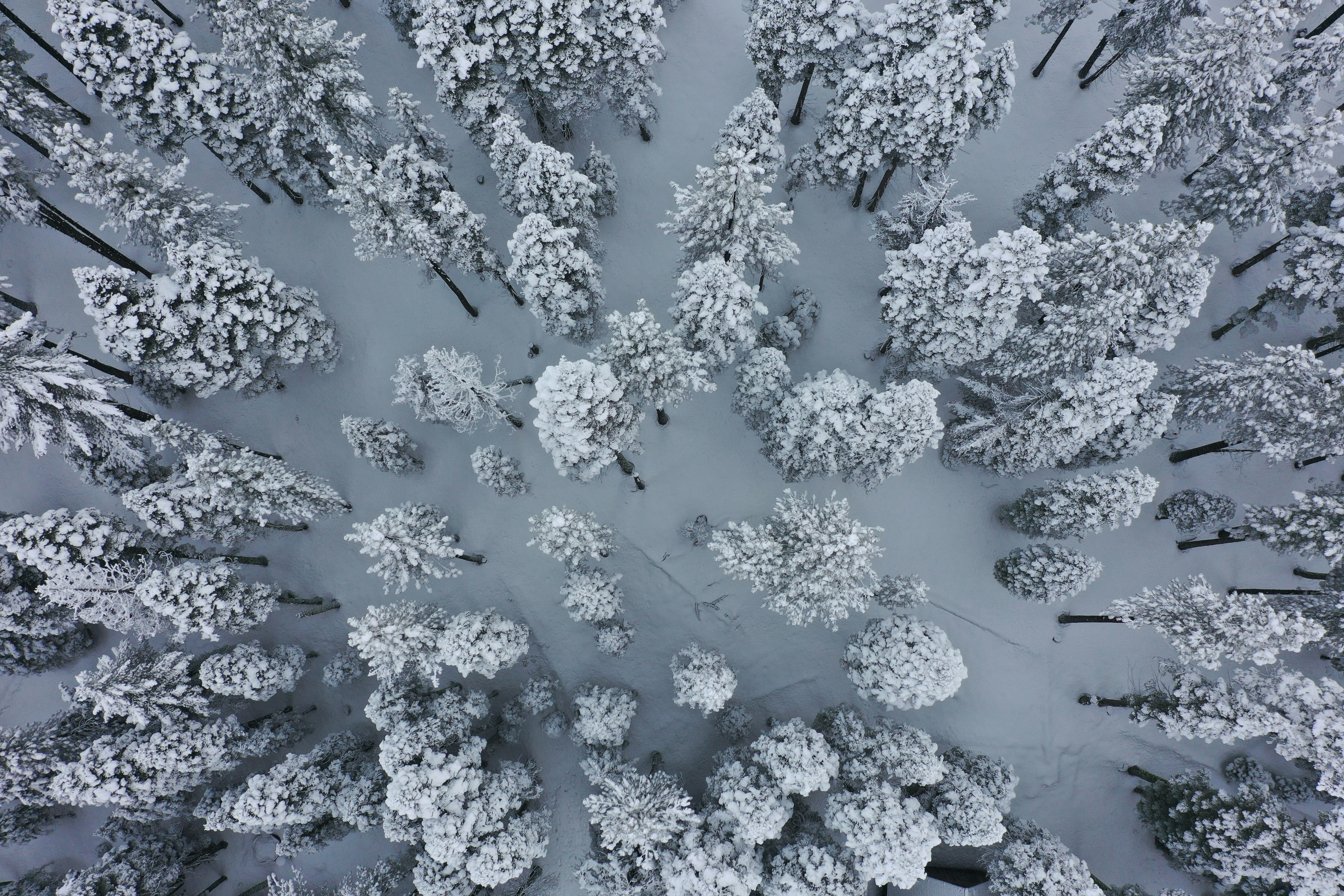 Photo by bertibenbanaste